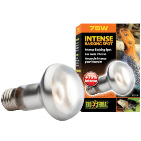 Exo Terra Intense Basking Spot 75w