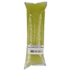 LIVE Phytoplankton Nannochloropsis Gaditana 100ml