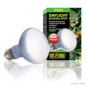 Exo Terra Daylight Basking Spot 75W