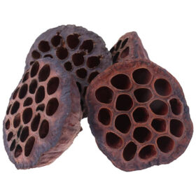 Ceramic Nature Lotus Pods XXL