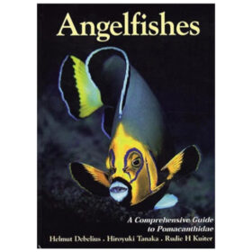 Angelfishes A Comprehensive Guide to Pomacanthidae