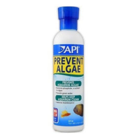 API Prevent Algae 237ml