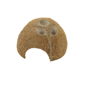 Ceramic Nature Coconut Shelter