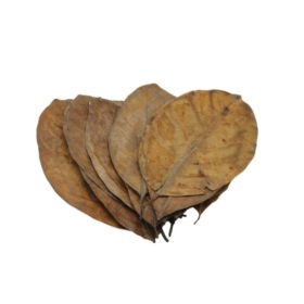 Ceramic Nature Jack Leaves x20