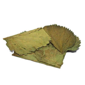 Ceramic Nature Mulberry Leaves Χ10