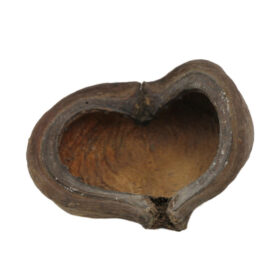 Ceramic Nature Thelambu Pods