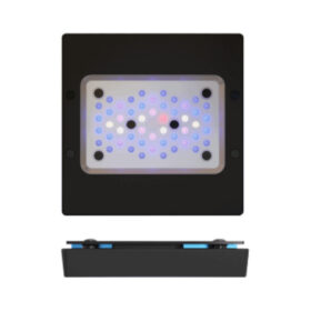 Ecotech Marine Radion XR15 G6 blue