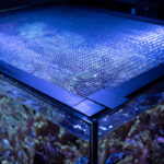 Waterbox Mesh Aquarium Lid MT Cube 20P