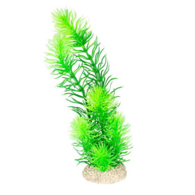 AQUA DELLA Plant Hornwort