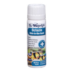 Waterlife Octozin 21 tabs