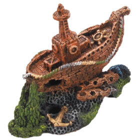 AQUA DELLA Galleon Wreck S