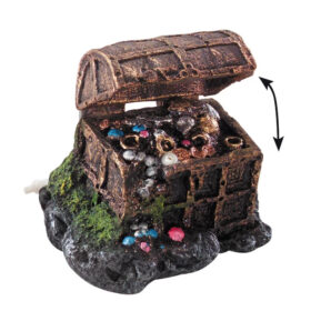 AQUA DELLA Treasure Case