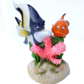 AQUA DELLA CLOWN FISH 3