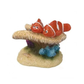 AQUA DELLA CLOWN FISH 7