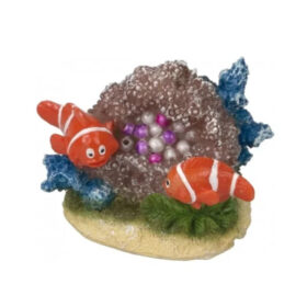 AQUA DELLA CLOWN FISH 8