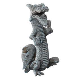 AQUA DELLA Dragon Balinois