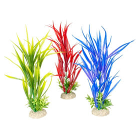 AQUA DELLA Plant Amazon Sword 30cm