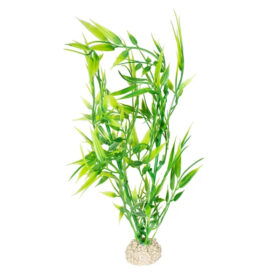 AQUA DELLA Plant Bamboo M Green