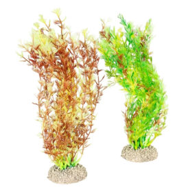 AQUA DELLA Plant Egeria Densa 25cm