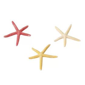 AQUA DELLA Starfish Mix S