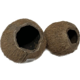 Coconut Cave