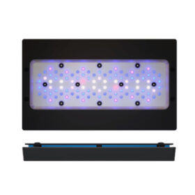 Ecotech Marine Radion XR30 G6 blue