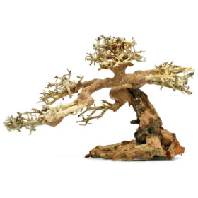 Claw Bonsai