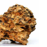 Dragon Stone 1kg - Image 2