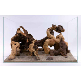 Mopani Wood