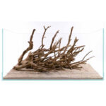 Talawa Wood 1