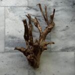 Talawa Wood 2