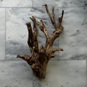 Talawa Wood 2