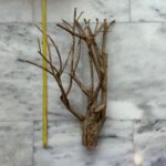 Talawa Wood 3