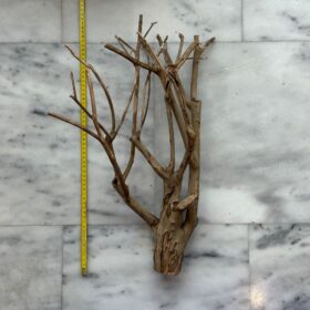 Talawa Wood 3