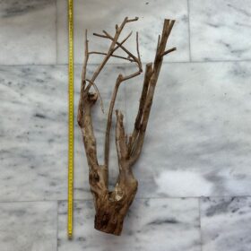 Talawa Wood 5
