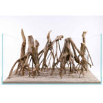 Talawa Wood