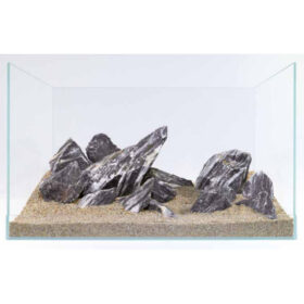 Zebra Stone