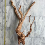 Curl Wood 10