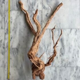Curl Wood 10