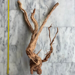 Curl Wood 10