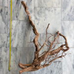 Curl Wood 11