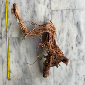 Curl Wood 12