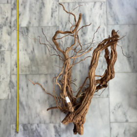 Curl Wood 3