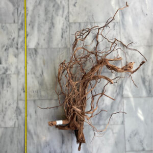 Curl Wood 4