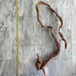Curl Wood 5