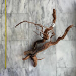 Curl Wood 6