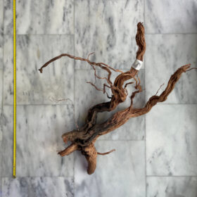 Curl Wood 6