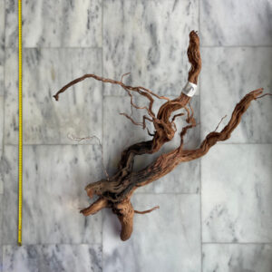 Curl Wood 6