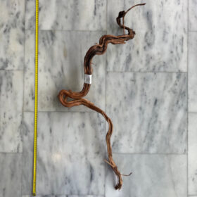 Curl Wood 7