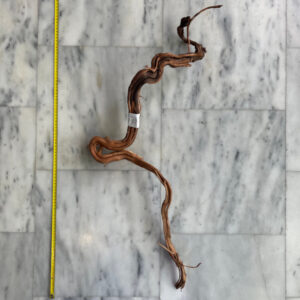 Curl Wood 7